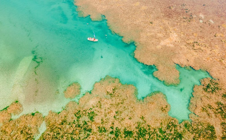 Projeto Corais de Alagoas avança no litoral do Estado