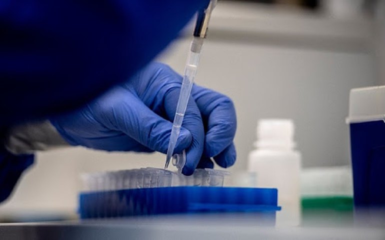 Instituto Vital Brazil, do governo do Rio, estuda soro contra novo coronavírus