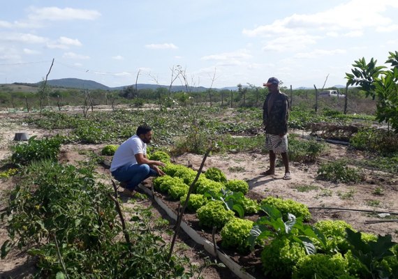 Dia do Trabalhador Rural: Emater assiste quase 35 mil agricultores indiretamente