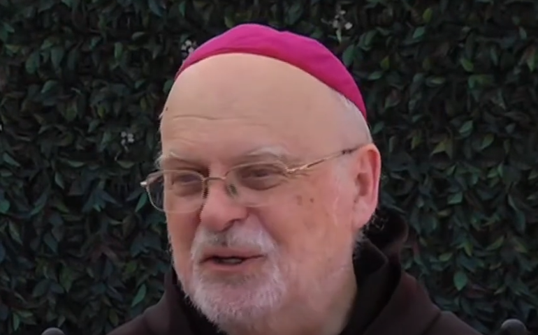 Por que cardeal sueco é favorável à lei sobre 'ecocídio' e está cotado para ser o novo papa