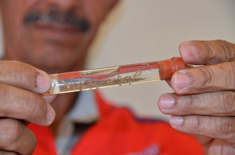 Alagoas: confira as últimas ações do Ministério da Saúde no combate à dengue