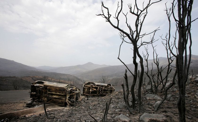 Incêndios florestais provocam mortes e destruição no Mediterrâneo