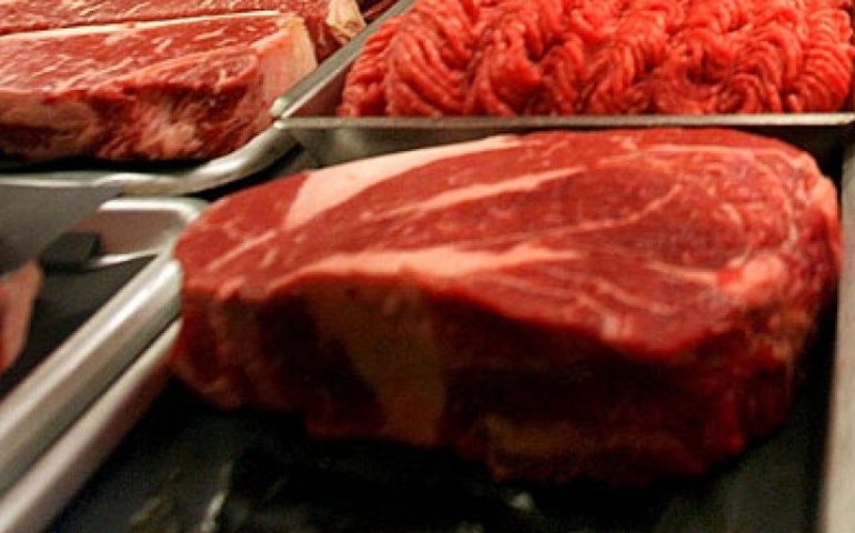 Brasil expande mercados para exportação de carne e de lácteos