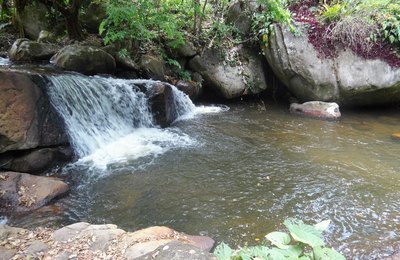Festa da Natureza de Murici levará estudantes de escolas públicas para trilha ecológica