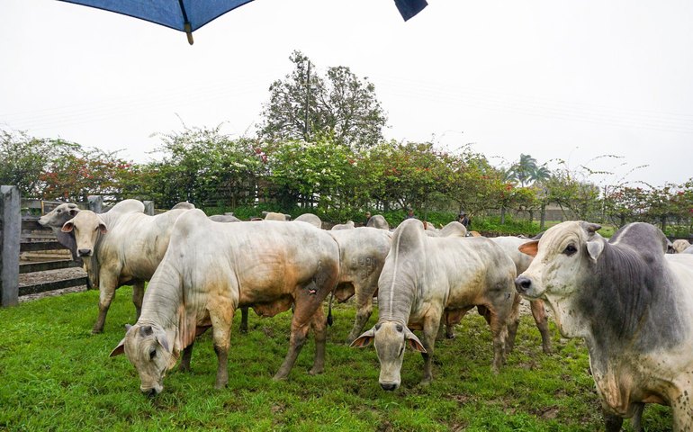 Agro Feira IBC abre temporada de eventos do agronegócio em Alagoas