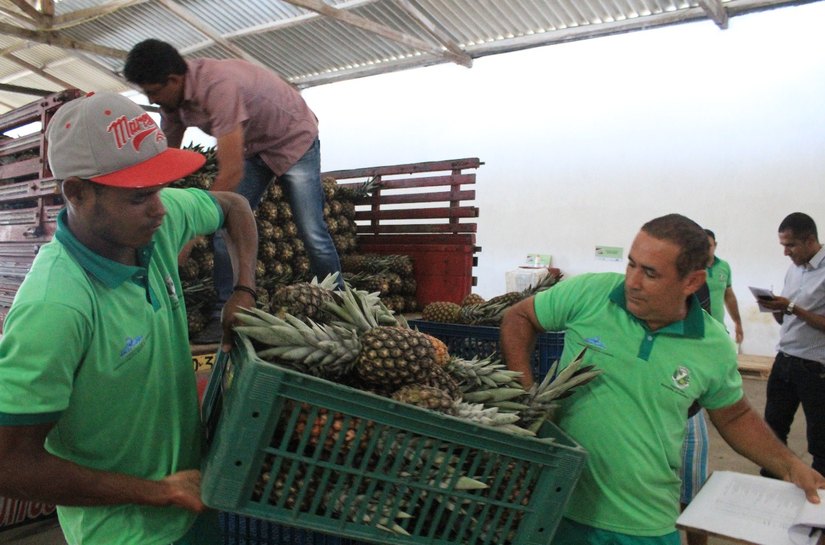 Agricultores familiares de Arapiraca iniciam entrega da produção ao PAA