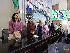 Audiencia Publica_Enfrentamento a violencia contra criancas e adolescentes -9.jpeg 