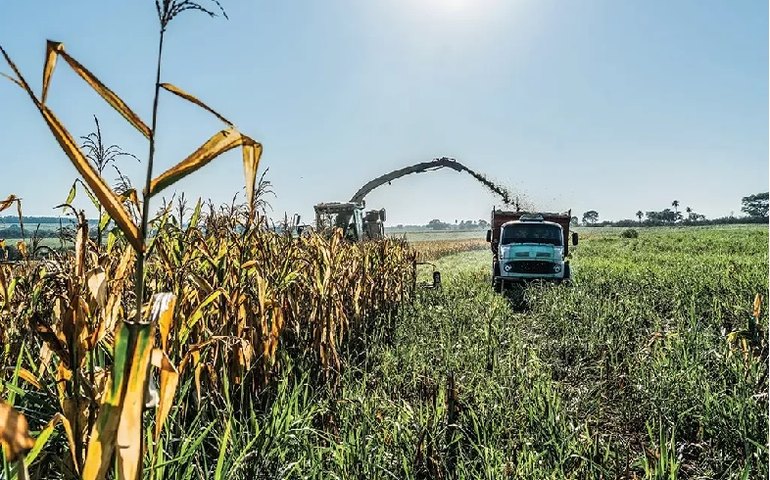Governo busca apoio do agronegócio a texto da reforma tributária