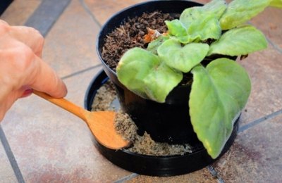 Aproximação do verão pede cuidados reforçados contra o Aedes aegypti