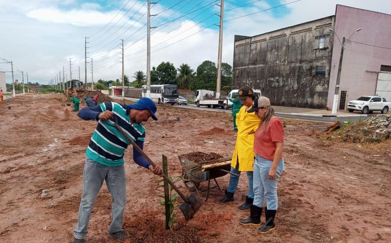 Desenvolvimento Sustentável inicia projeto Arborizar é Massa no Biu