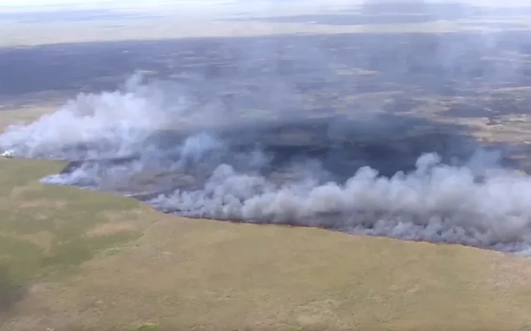 Incêndios florestais na Geórgia e na Flórida destroem mais de 50 casas e forçam evacuações