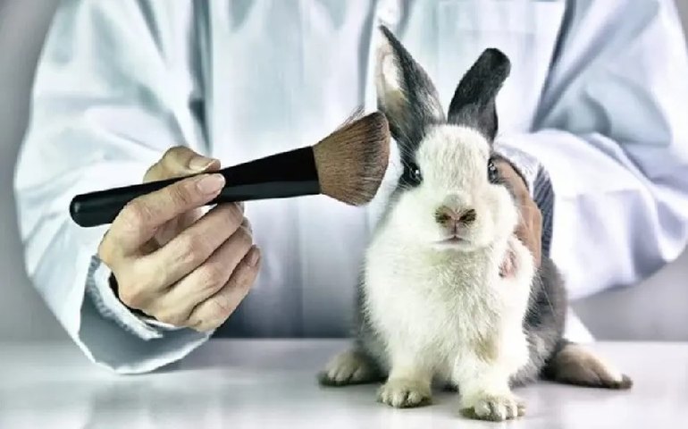 Governo proíbe uso de animais em testes de cosméticos e perfumes