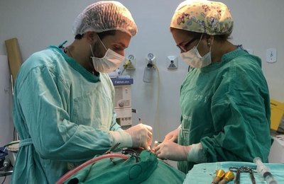 Sesau reforça investimentos e hospital de Arapiraca lidera ranking nacional em cirurgias da face