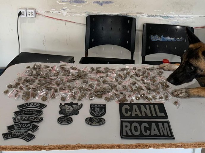 Polícia Militar apreende drogas e armas durante abordagens em Arapiraca
