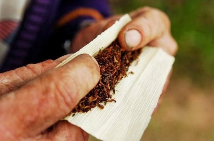 Norma estimula formalização do comércio do fumo de corda em Alagoas