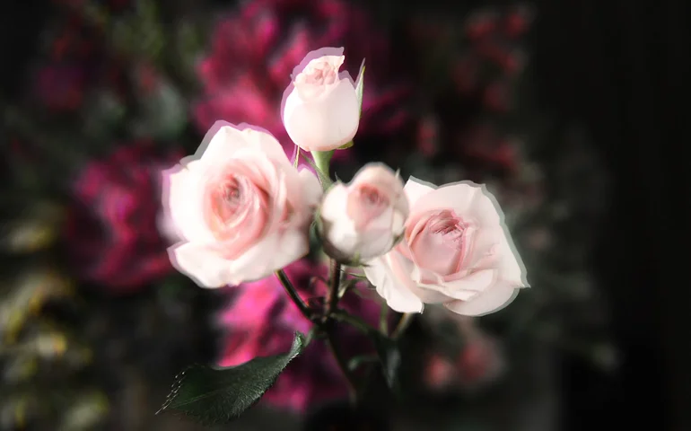 ‘Flores’: Durante a Art Basel Miami, Malu Mesquita inaugura nova exposição autoral com obras produzidas em estúdio