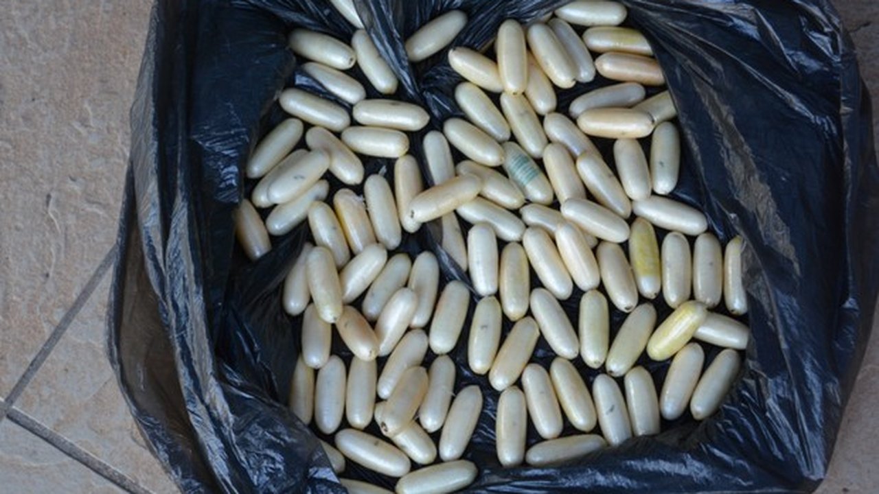 Em Pernambuco, PF faz homem expelir 149 cápsulas de cocaína do estômago