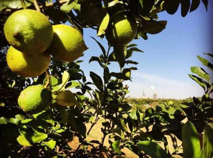 Helder Lima realiza missão em SP para captar investimentos