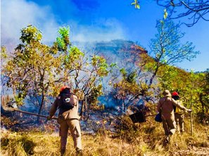 Corpo de Bombeiros do MT