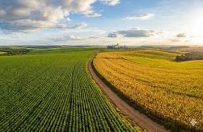 Índia é a nova China para o agronegócio brasileiro, afirma especialista em meio à maior missão econômica da gestão atual
