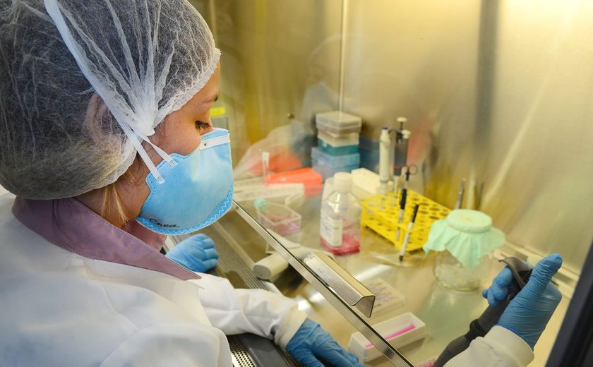USP: pesquisa de vacina contra zika avança em testes com camundongos