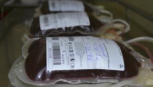 Foto: FSPH/Assessoria