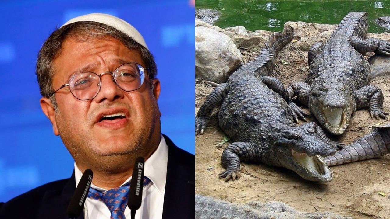A 'prisão de crocodilos' de Israel é tortura, não segurança, afirma especialista