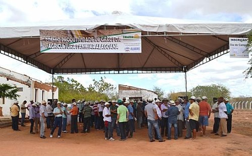 Emater lança prêmio para incentivar a produção de grãos