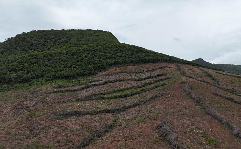 FPI do São Francisco constata maior desmatamento já registrado durante as 15 etapas da fiscalização em Alagoas