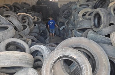 Mutirão para conter avanço da dengue recolhe mais de 3 mil pneus em Maceió 