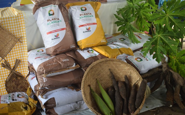 Iteral viabiliza repasse de sementes para acampamentos rurais