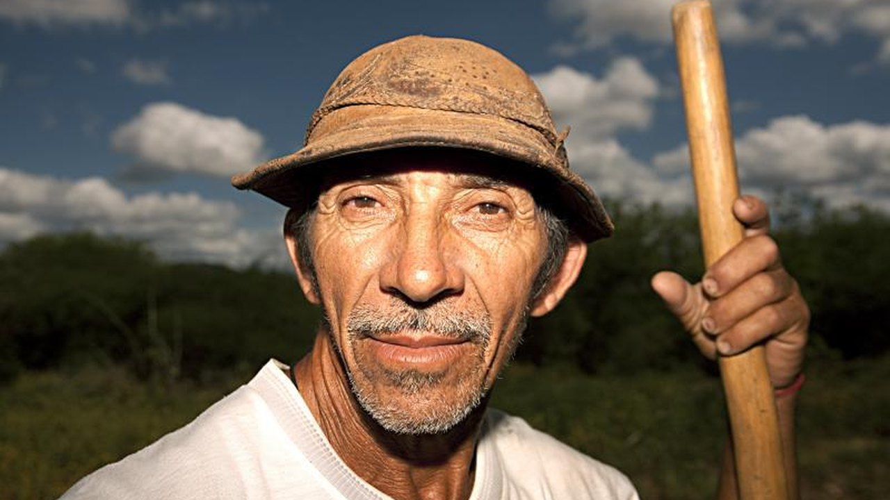 Nordestino vê economia do País e a própria melhorarem só em 2022