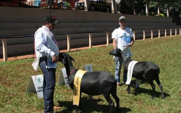 Câmara Setorial do Leite retoma atividades durante a Expoalagoas Genética