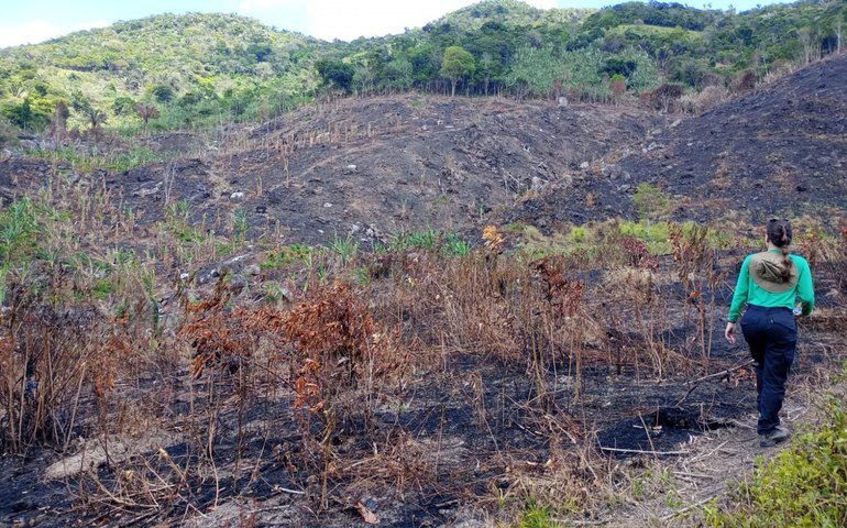 Período seco e baixa umidade em Alagoas aumentam riscos de queimadas, alerta IMA