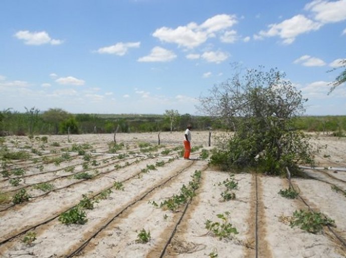AL receberá R$ 2 milhões para aquisição de kits de irrigação