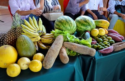 Prefeitura de Palmeira comprará mais de R$ 1 mi a pequenos produtores rurais do município 