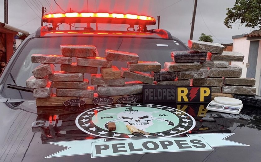 PM apreende 12 quilos de maconha em micro-ônibus