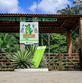 Ações sustentáveis da Alurb marcam o Dia Mundial do Meio Ambiente nesta sexta-feira(5)