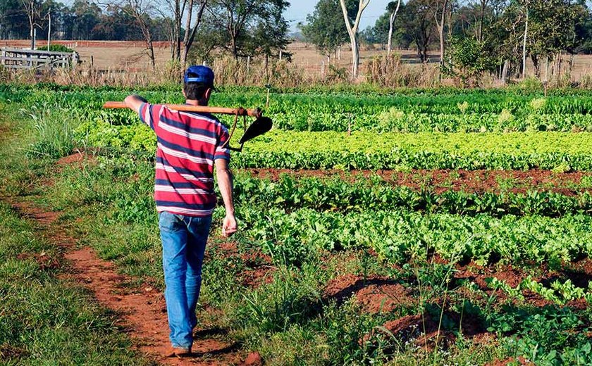 Projeto prevê órgão para gestão de mão de obra rural avulsa