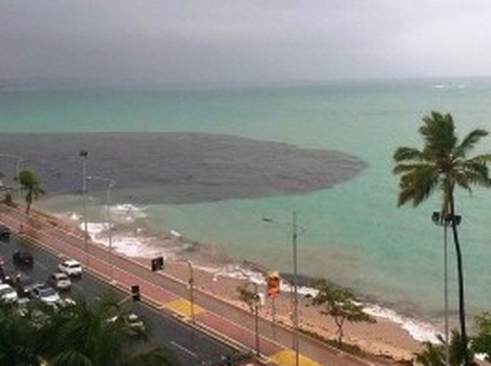 Praias poluídas e o consumo de marisco mal cozido favorecem contaminação por hepatite A
