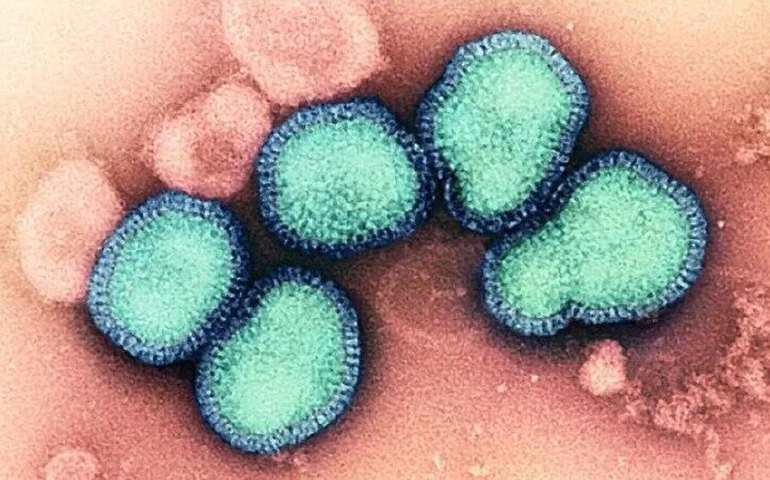 Gripe K já circula no Brasil, confirma Ministério da Saúde