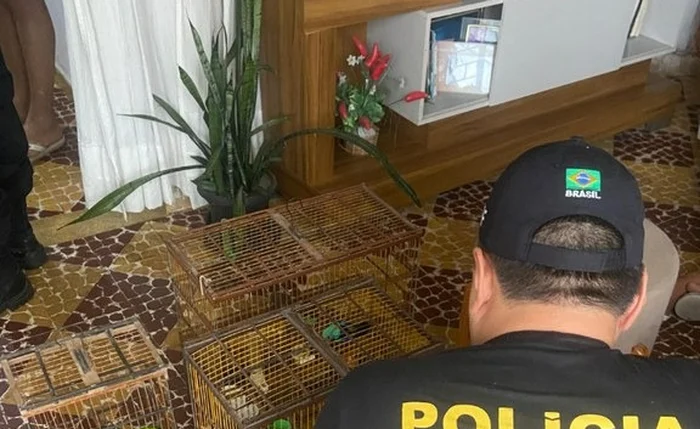 Operação da Polícia Federal foi realizada nesta quinta-feira, 10, em Rio Largo Operação da Polícia Federal foi realizada nesta quinta-feira, 10, em Rio Largo
