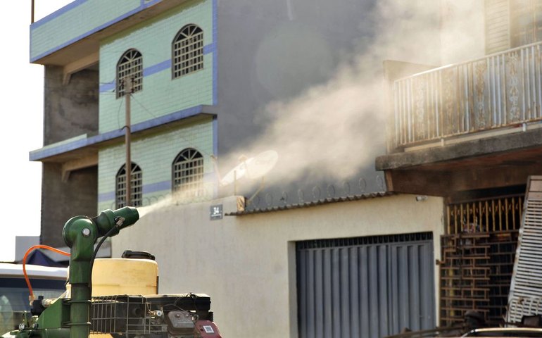 Vacina contra chikungunya mantém anticorpos após 1 ano de aplicação