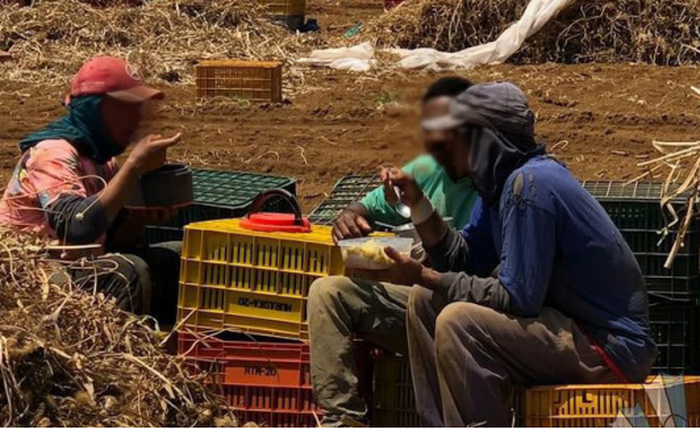 Ausência de condições dignas de trabalho, alojamento e de alimentação marca o trabalho escravo no país