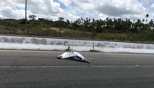 acidente br 12 / Foto: redes socias