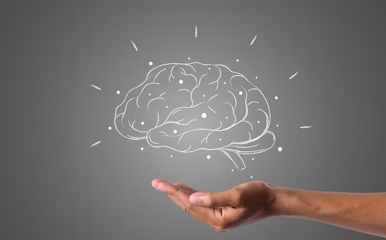 Cérebro pode autoconsumir a própria gordura em maratonas, afirma estudo. Entenda quando isso ocorre