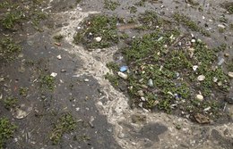 Resíduos sólidos emitem 4% de gases de efeito estufa