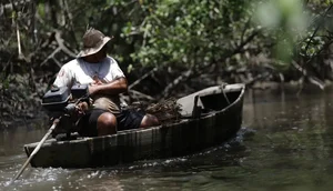 _d6a9754_0 / Foto: (Foto: Reprodução/Agência Brasil)