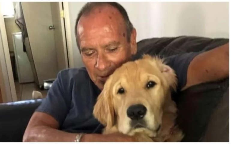 Homem morre carbonizado ao tentar salvar cachorro de incêndio no Havaí