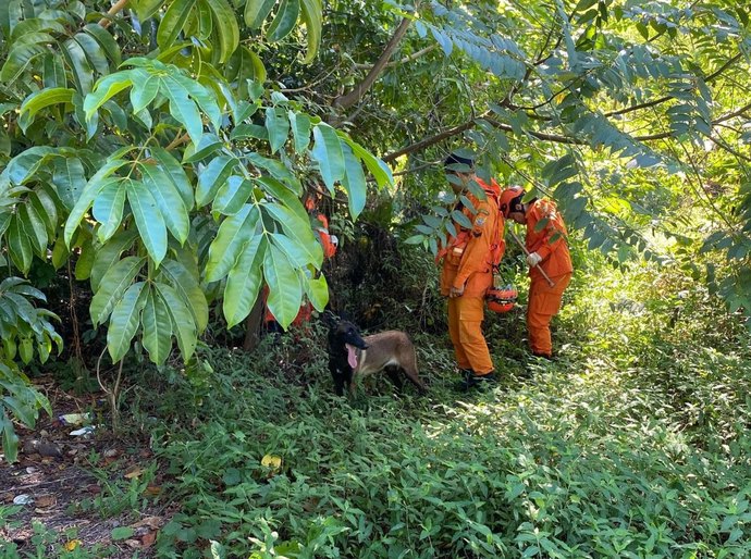 Polícia Civil realiza buscas para localizar jovem desaparecido em Guaxuma